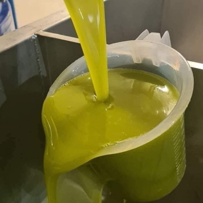 WhatsApp-Image-2025-08-29-at-19.14.02-2