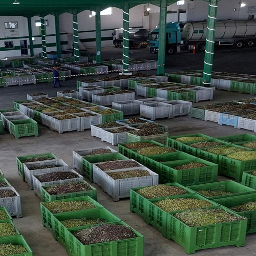 WhatsApp Image 2025-11-09 at 22.07.13