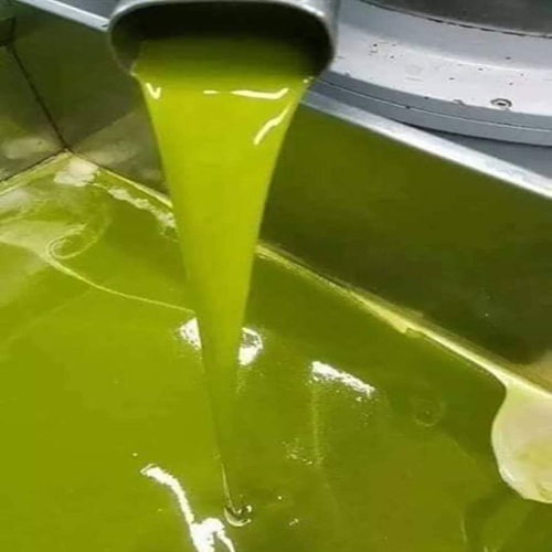 WhatsApp Image 2025-11-09 at 22.07.14 (1)