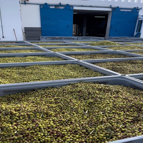 WhatsApp Image 2025-11-09 at 22.07.14 (2)