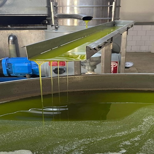 WhatsApp Image 2025-11-09 at 22.07.14 (3)