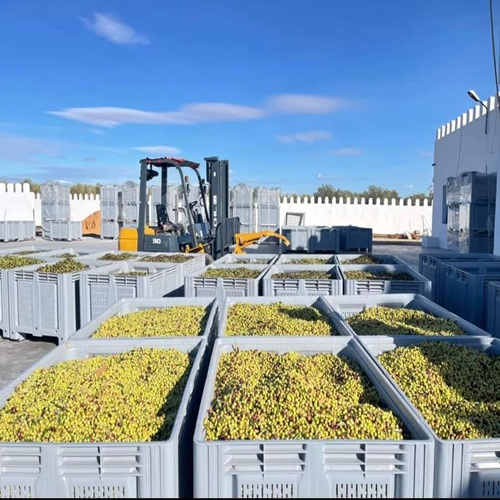 WhatsApp Image 2025-11-09 at 22.07.15